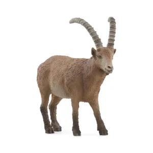 14873 Ibex