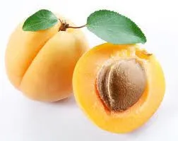 Apricot Oil - 100 Ml