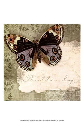 Butterfly Notes IV