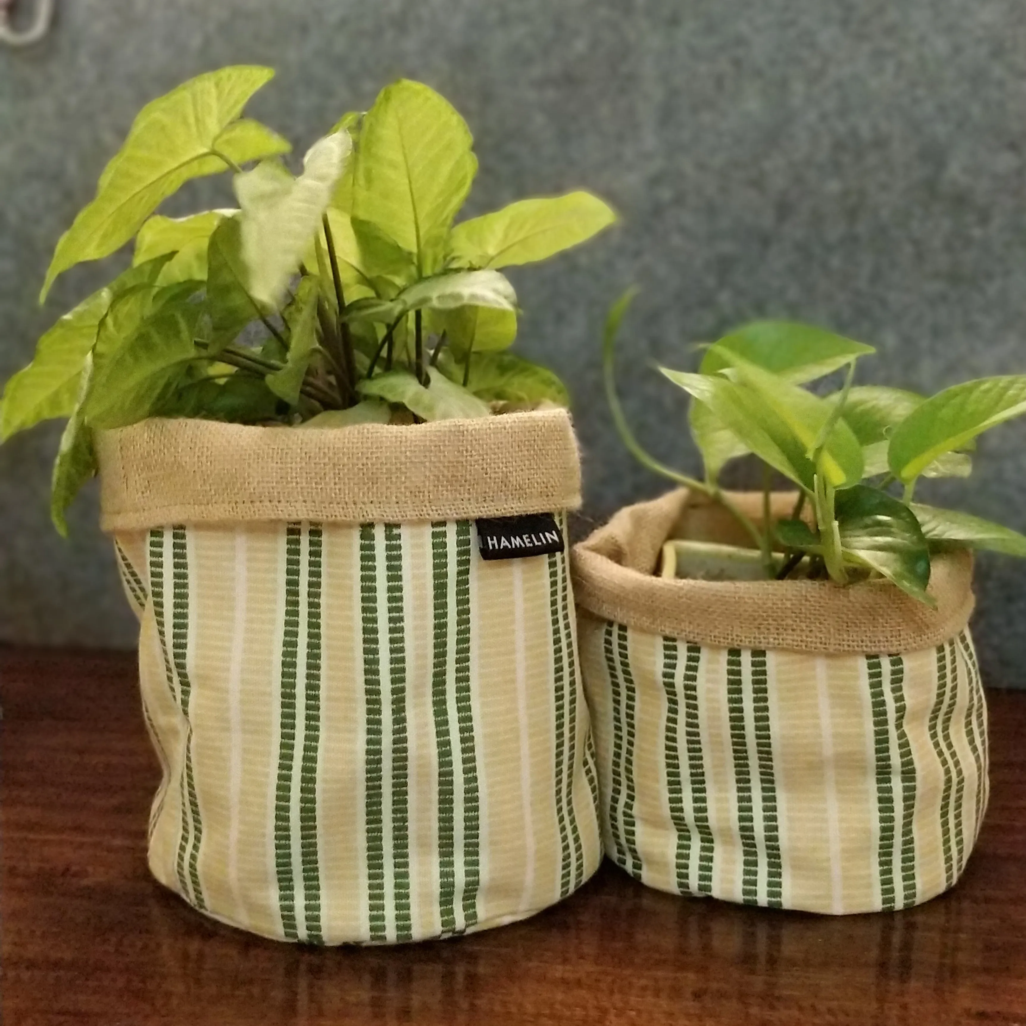 Chic Planter Wrap  (Daisy)