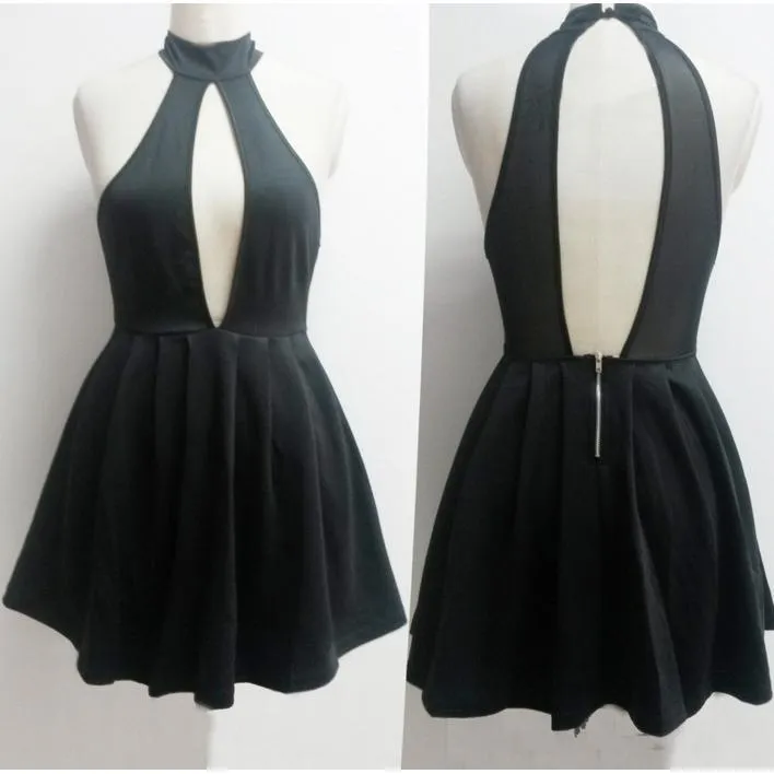 Chic Skater Dress