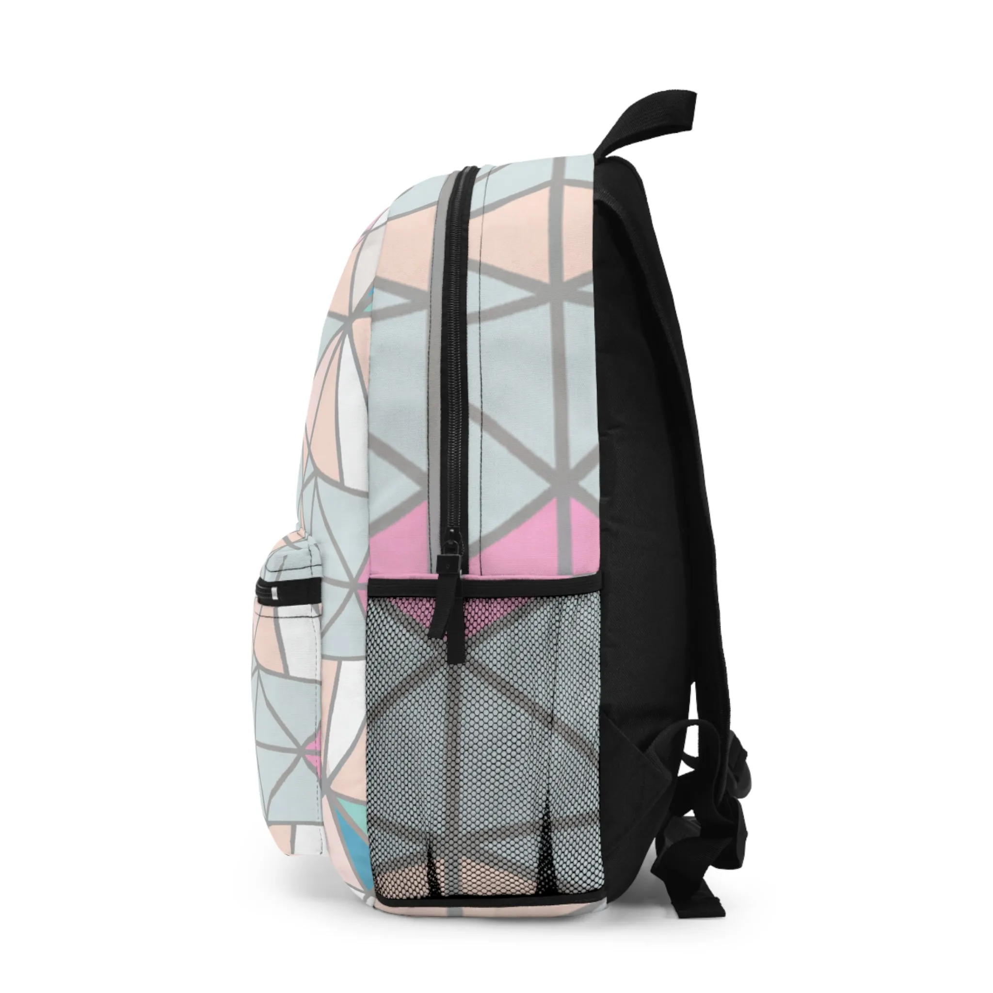 Cosmic Lattice.- Backpack