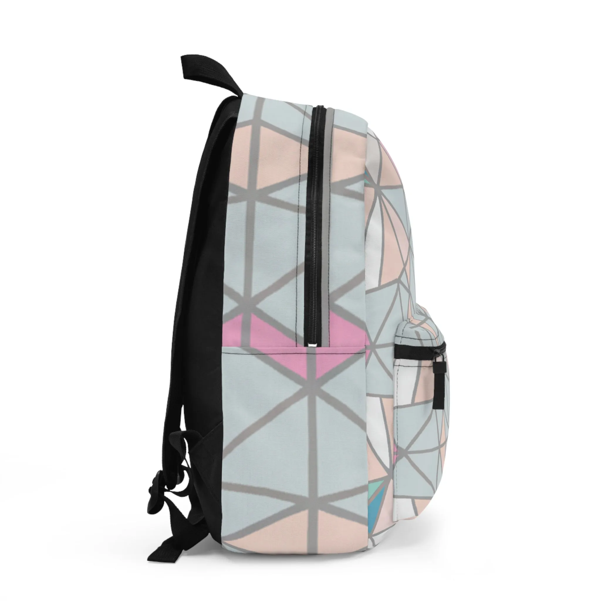 Cosmic Lattice.- Backpack