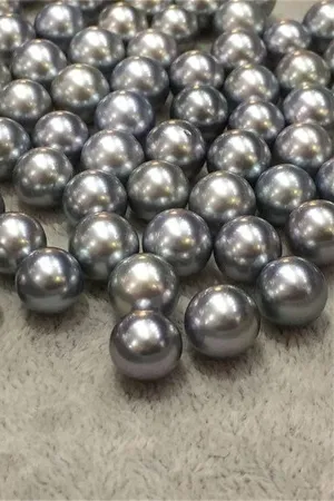 Elegant  AAA 8-11mm Tahitian Grey Color Loose Pearl P40