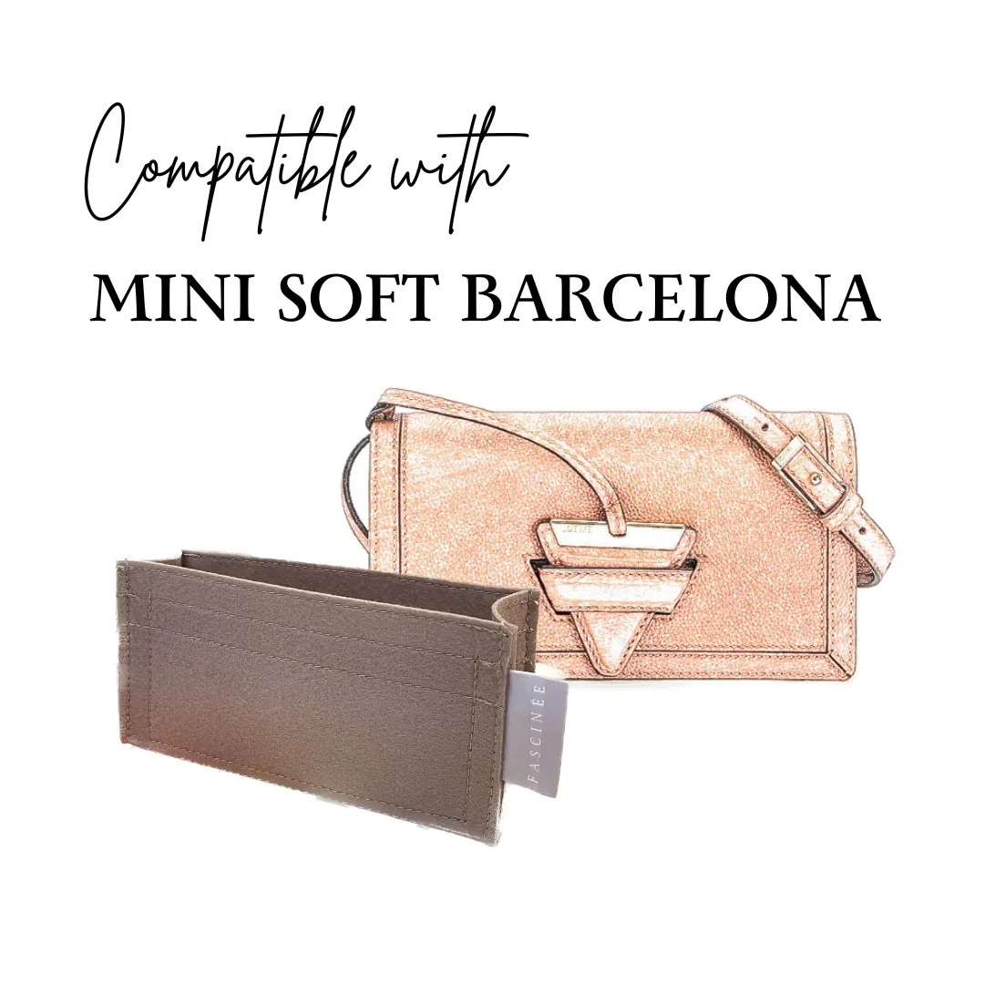 Inner Bag Organizer - Loewe Mini Soft Barcelona