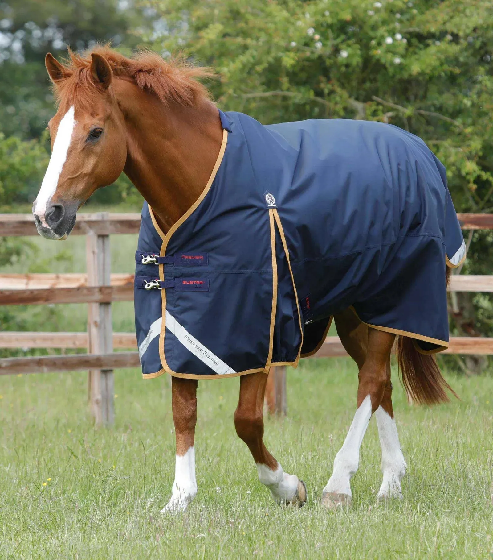 Premier Equine Buster Original 50g Standard Neck Turnout Rug