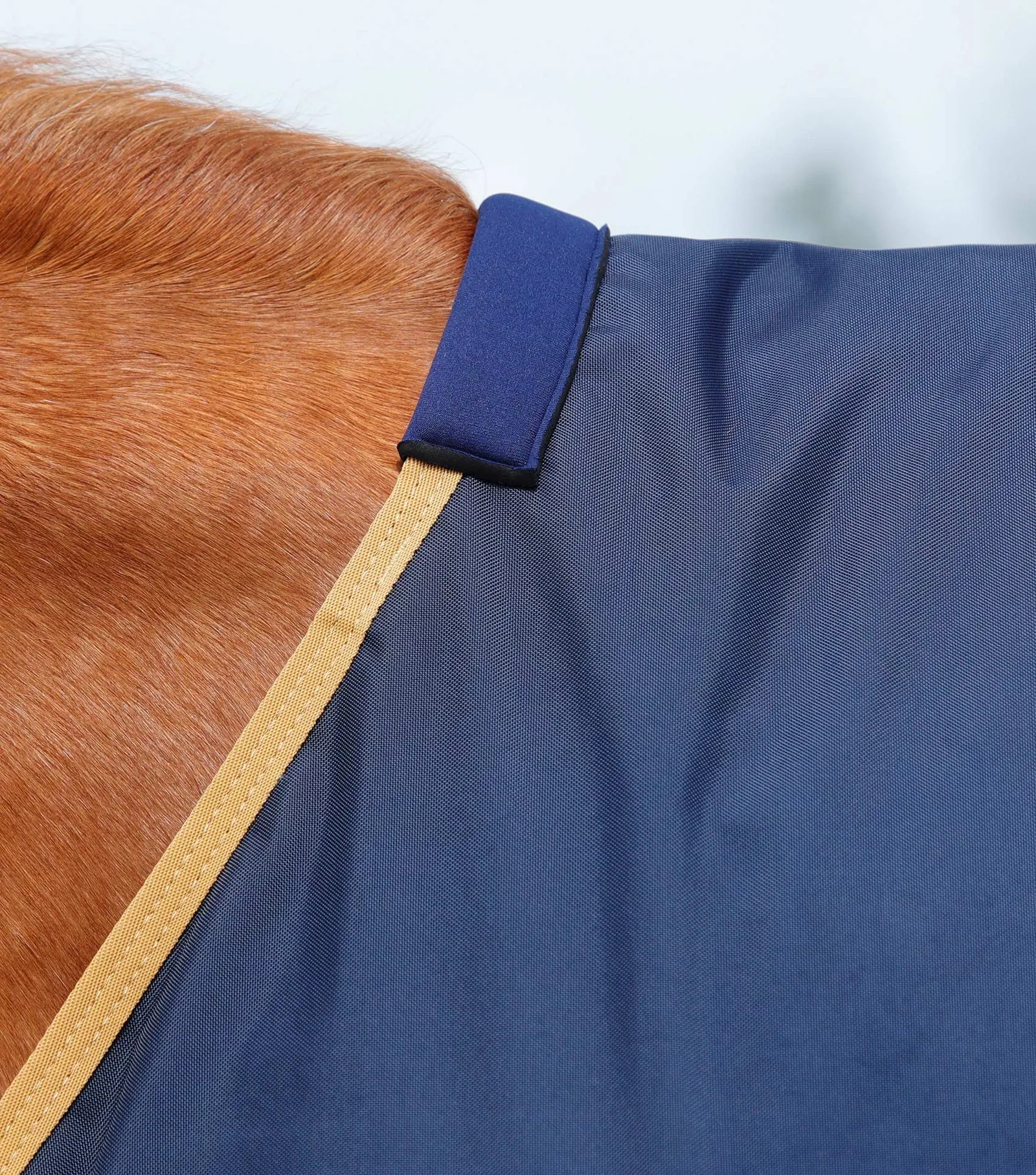 Premier Equine Buster Original 50g Standard Neck Turnout Rug